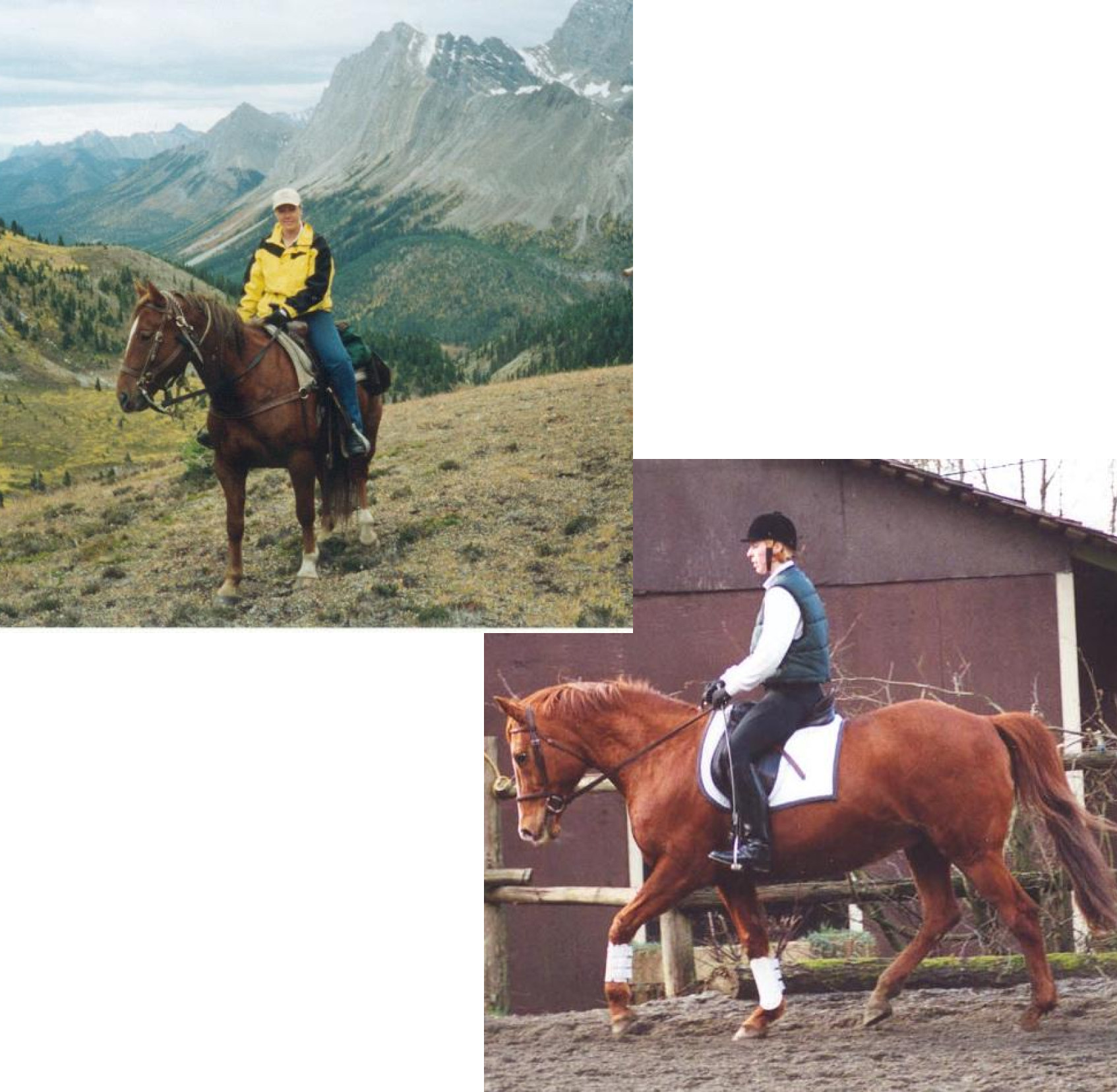 “A two photo collage of Sarah Malley riding a horse in the backcountry of Banff National Park with a mountain view in the background and another of Sarah wearing a green vest riding a chestnut horse in an outdoor arena on an overcast day near Victoria, BC, Canada